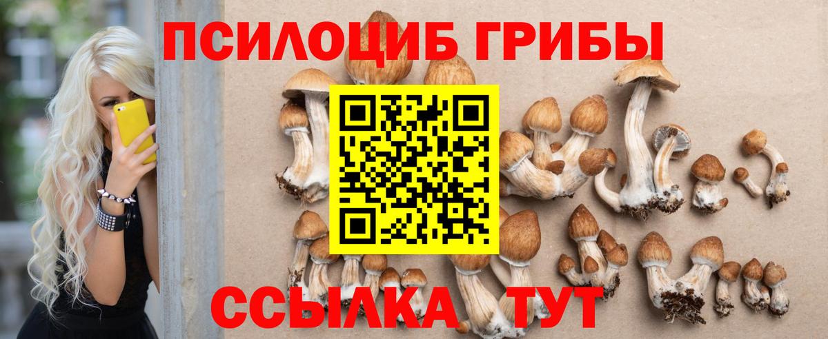 Урюпинск  Псилоцибиновые грибы Psilocybe  Галлюциногенные грибы Magic Shrooms  Вход с VPN 